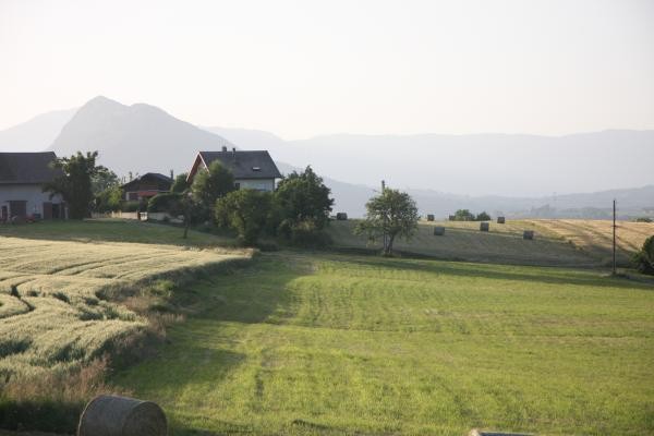 Les champs autour de l'appartement