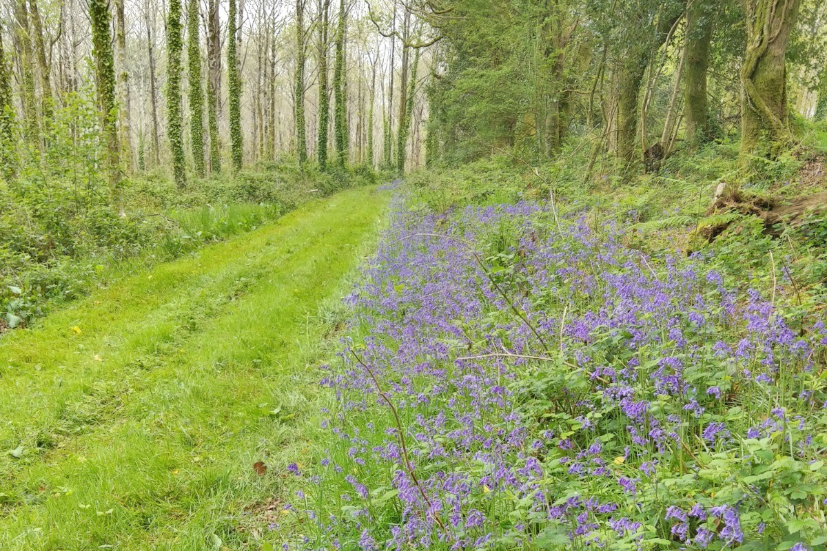 Photo n° 17 of the location