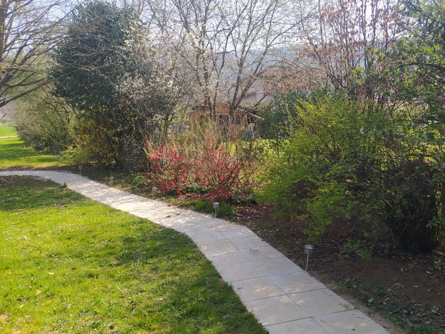 Allée d'accès au gîte