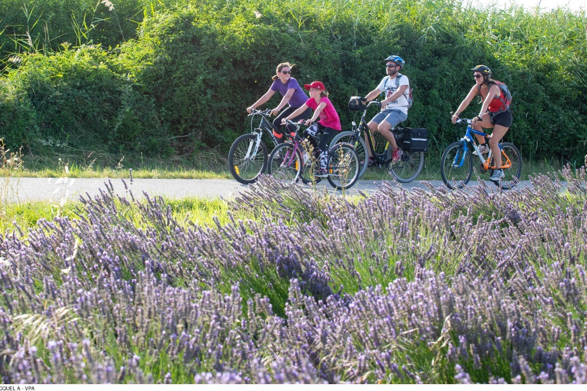Vélo sur l'itinéraire cyclo de la ViaRhôna qui passe à Sorgues