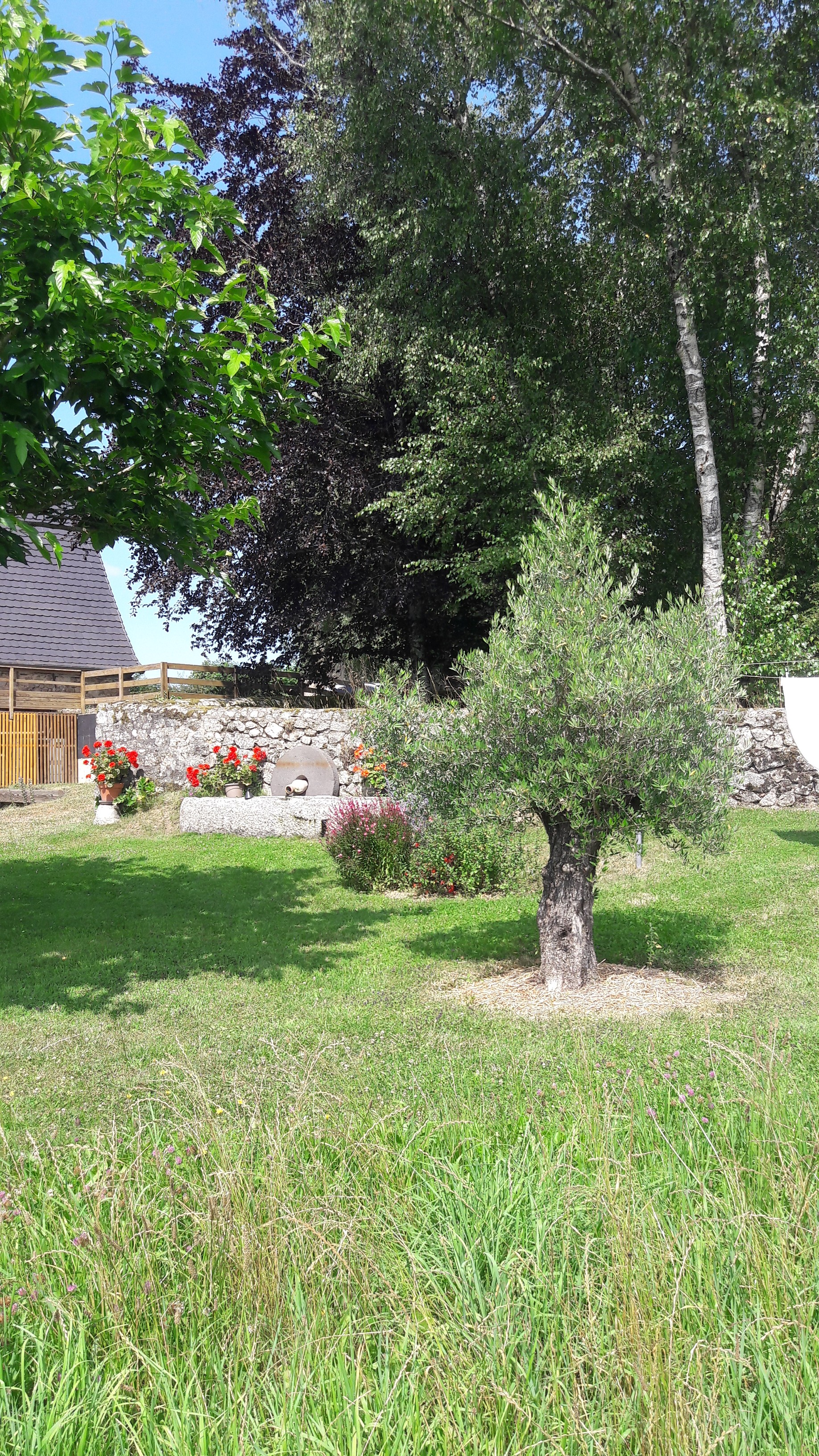 Photo n° 14 de la location