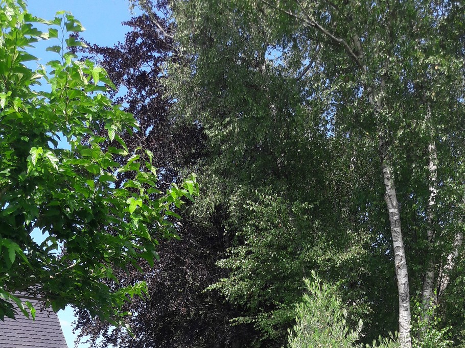 Photo n° 14 de la location