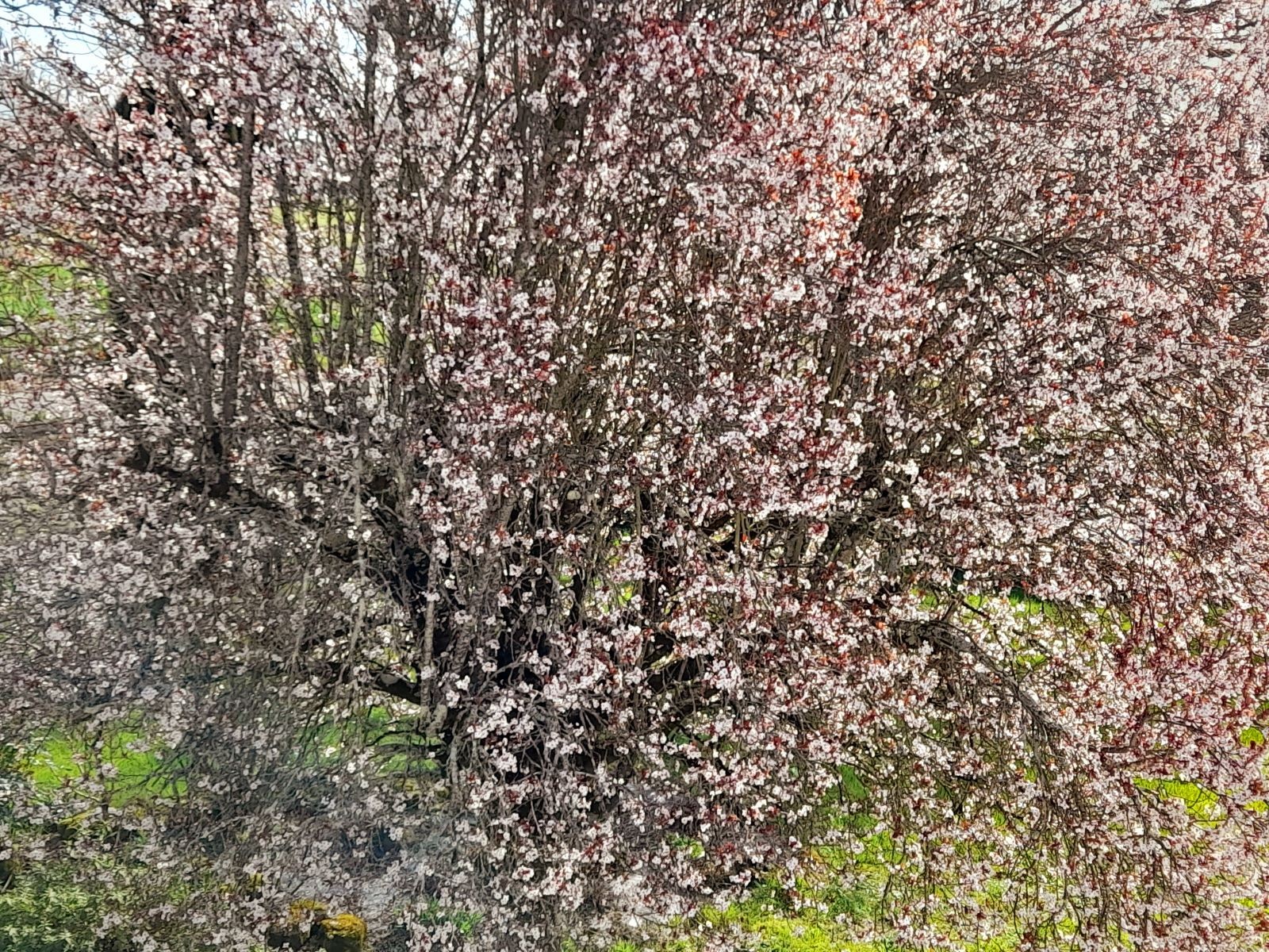 Photo n° 9 of the location