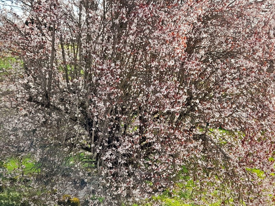 Photo n° 9 of the location