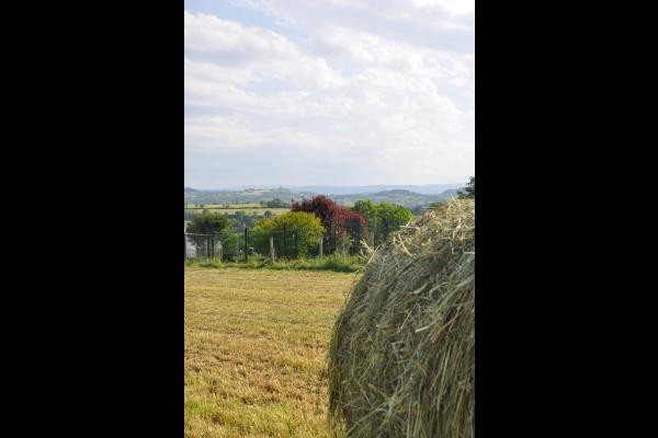 Location Aux Portes du forez : prés alentours