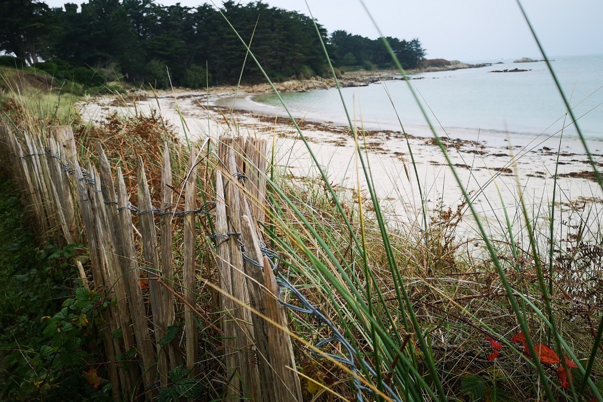 Photo n° 16 de la location