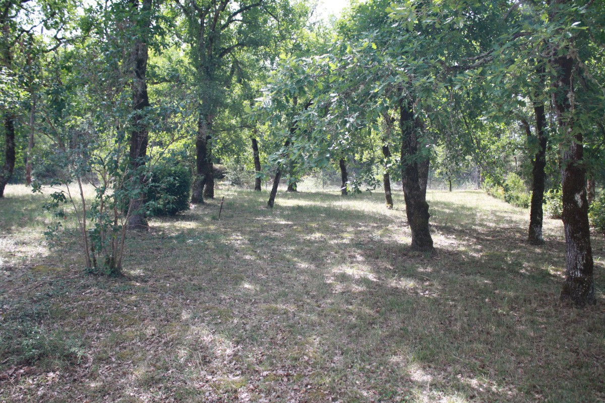 Parc boisé
