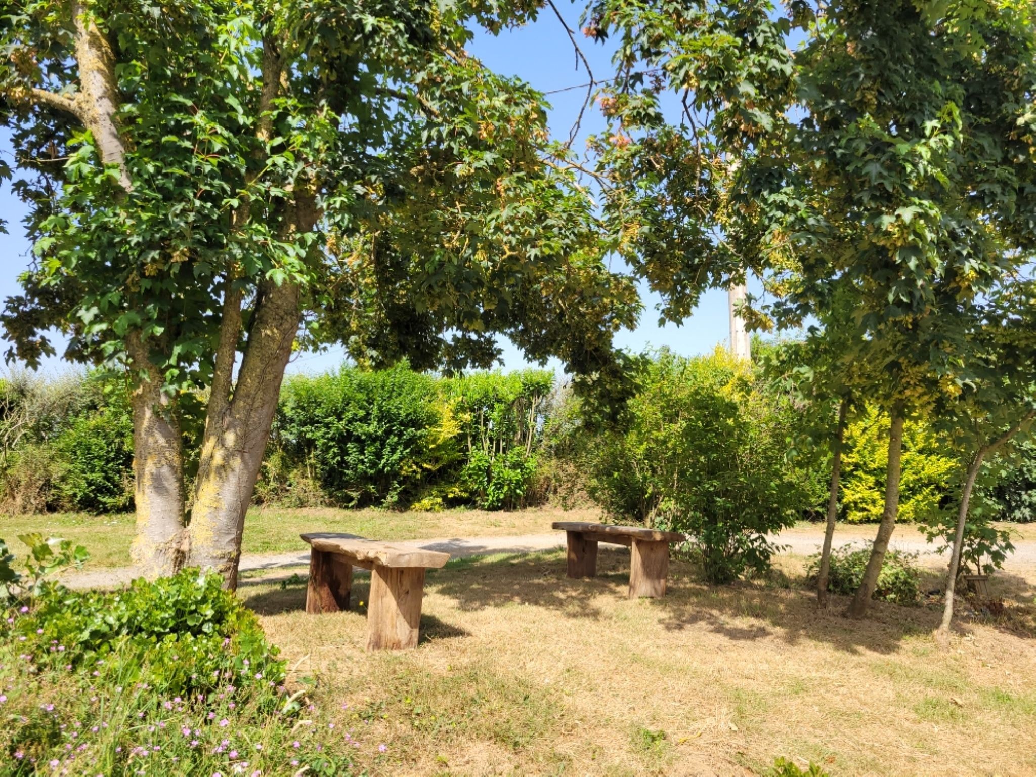 Photo n° 4 of the location