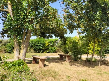 Photo n° 4 of the location