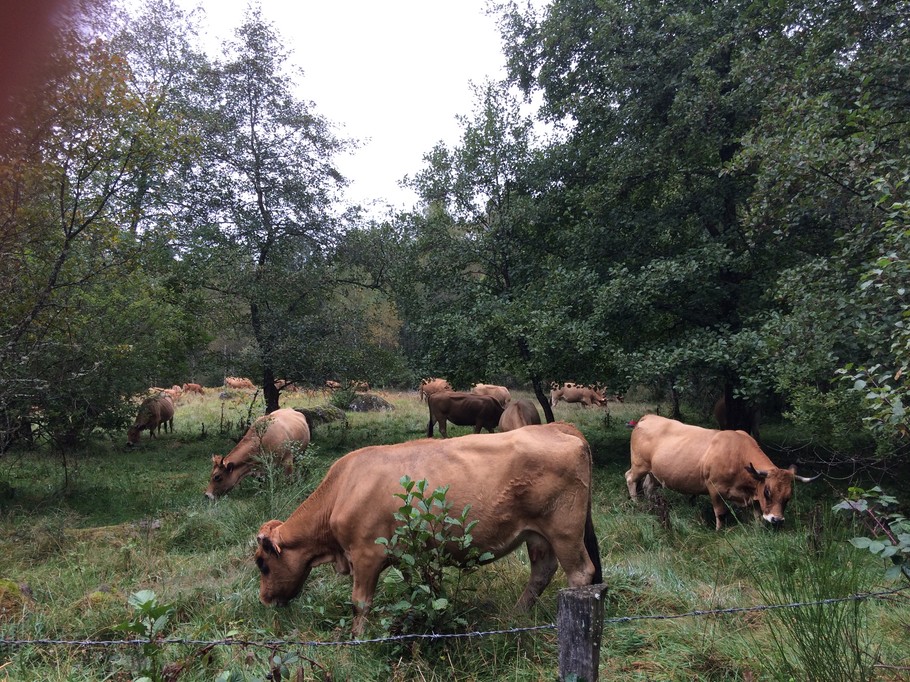 Photo n° 19 de la location
