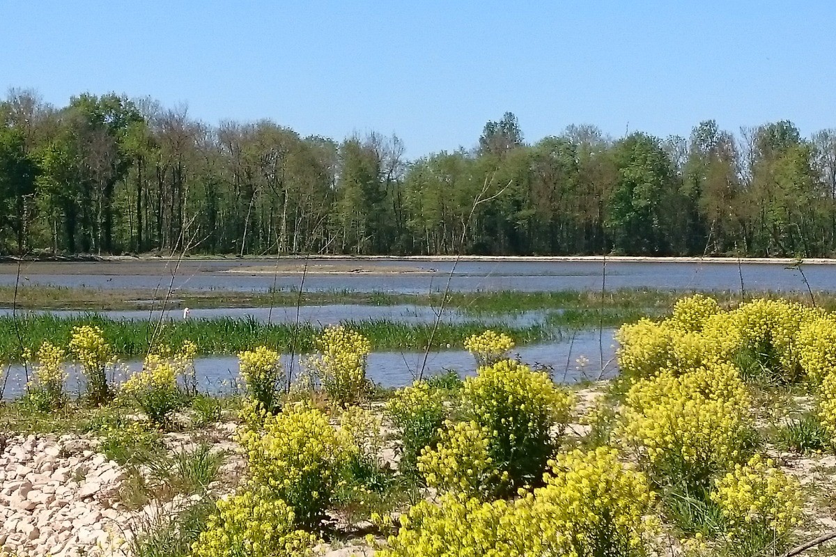 Photo n° 15 de la location