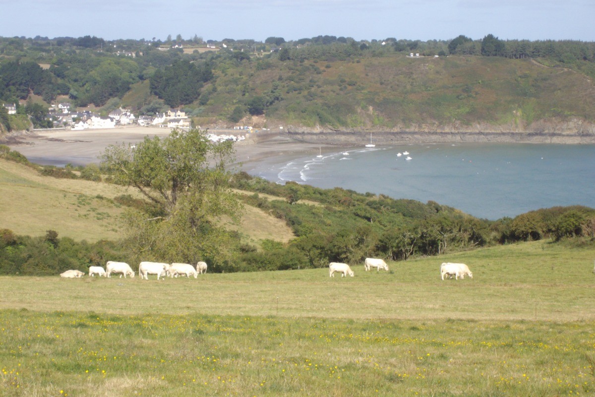vue arrière de la location