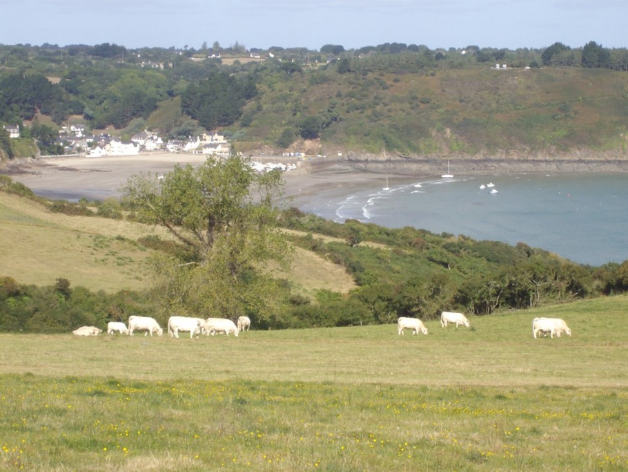 vue arrière de la location
