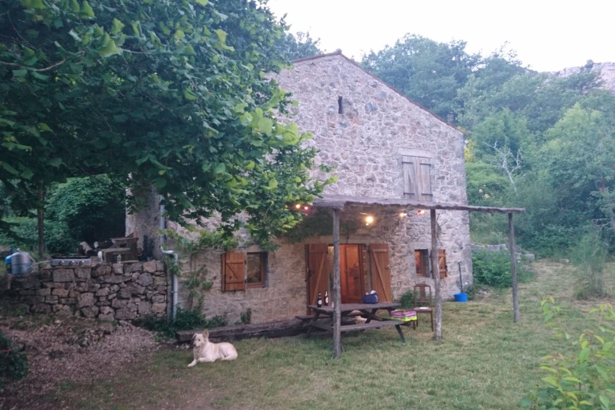 Photo n° 7 de la location