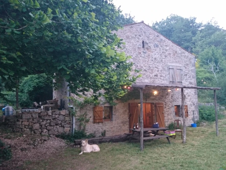 Photo n° 7 de la location