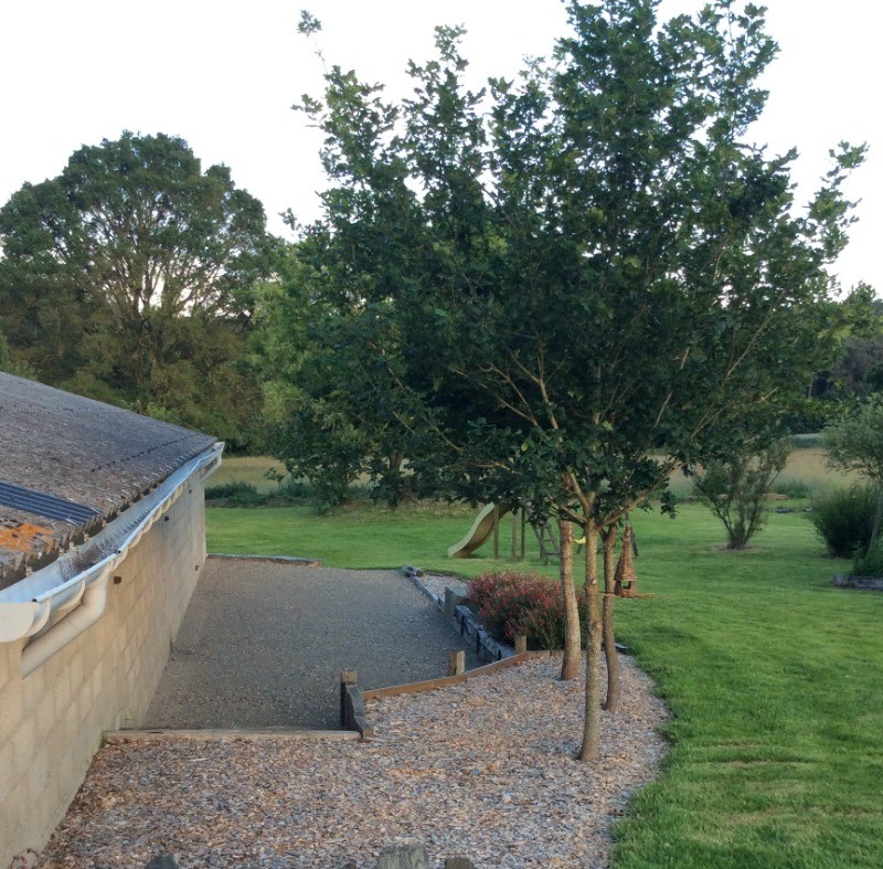 espace jeux de boules à disposition