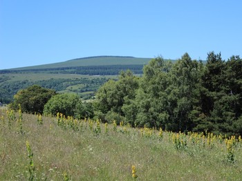 Photo n° 15 of the location