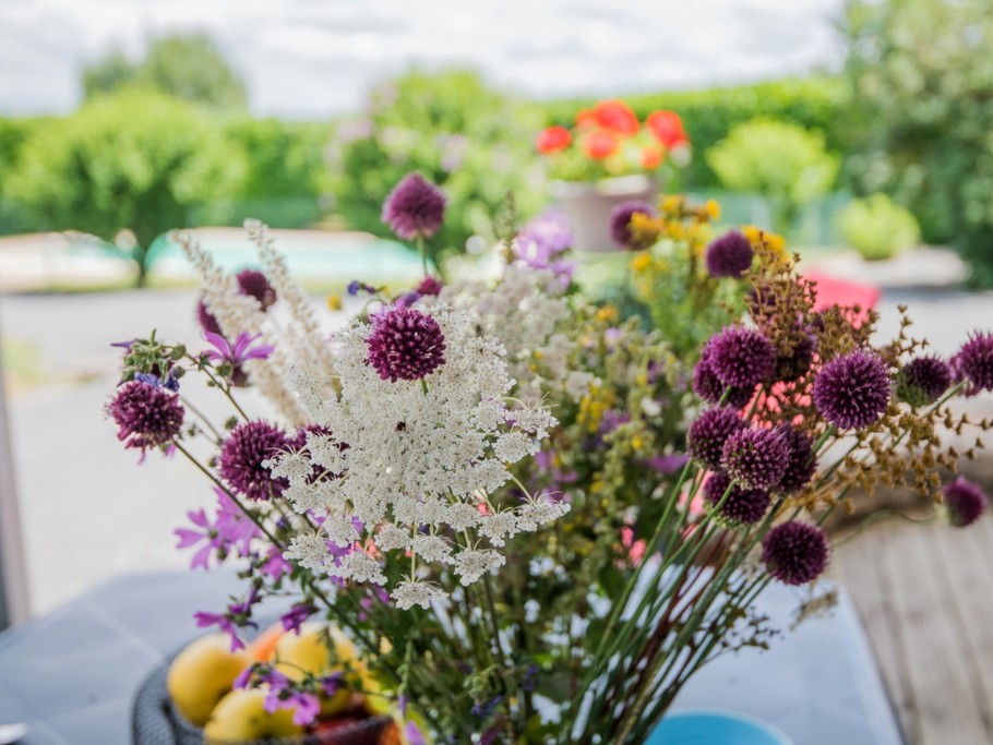 Photo n° 10 of the location