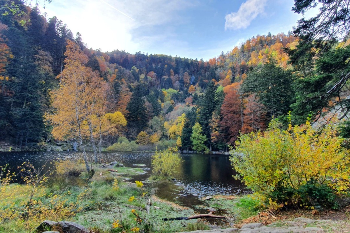 Chalet Renard - Les alentours