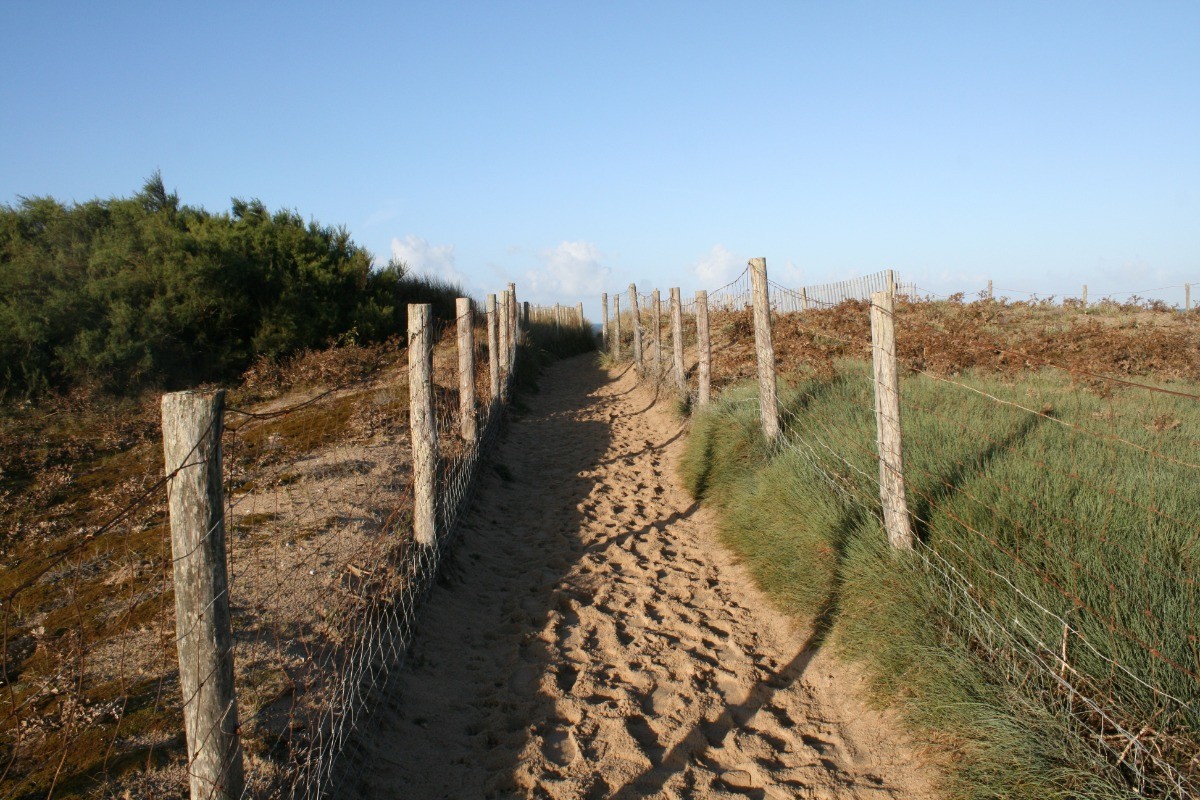Petit chemin sur l'île
