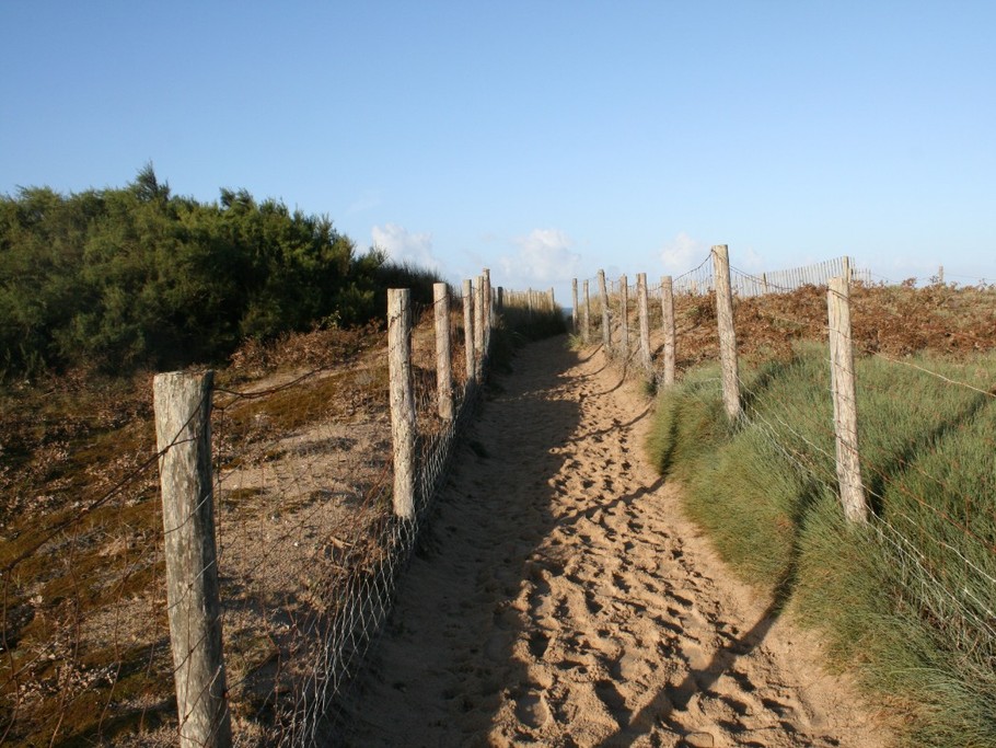 Petit chemin sur l'île