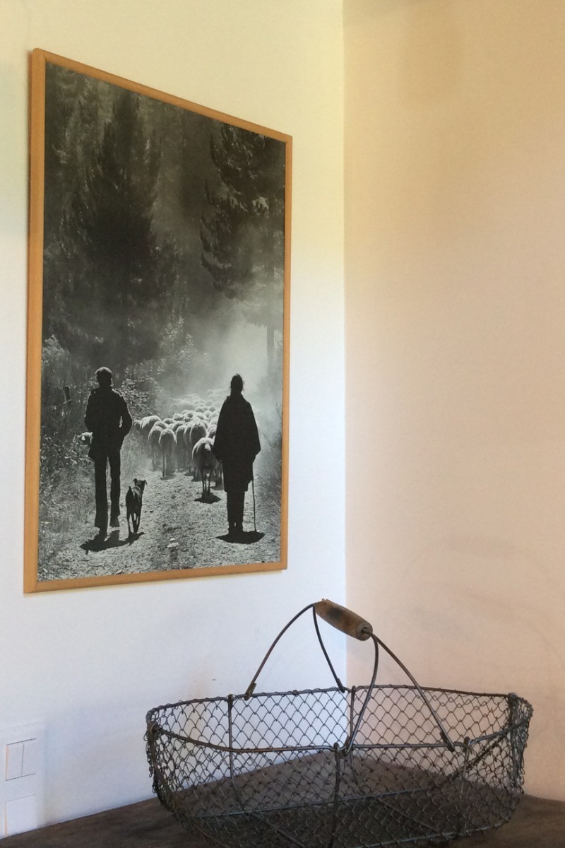 Photo n° 19 de la location