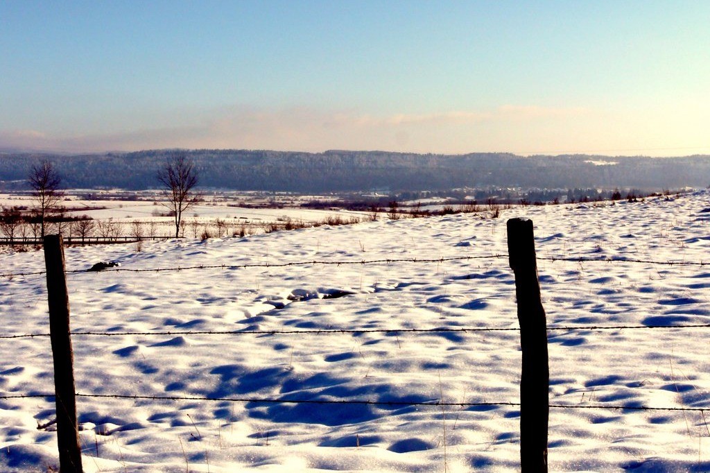 Photo n° 18 de la location