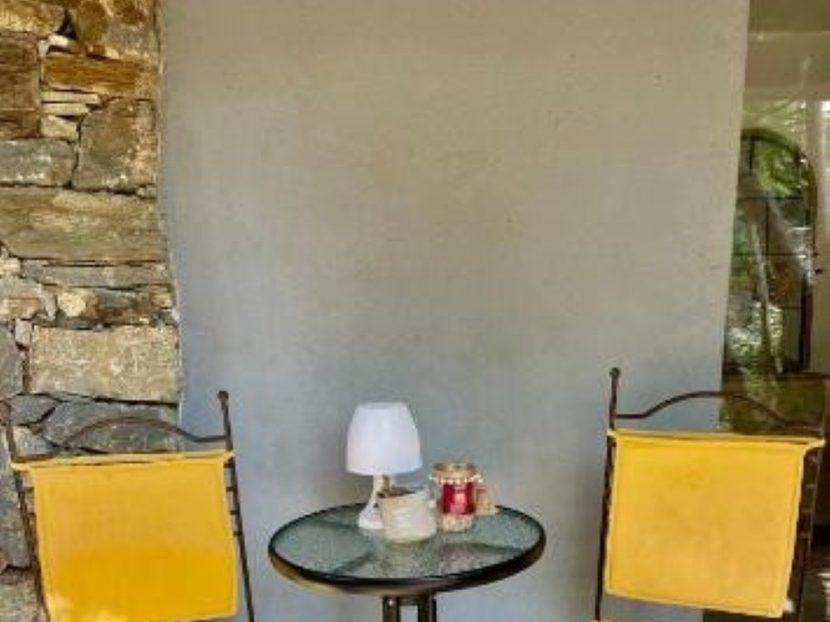 Terrasse a l'ombre du palmier