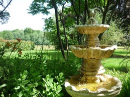 Chambres d'hôtes La Cabriole, Val de Loire, PARC ARBORE