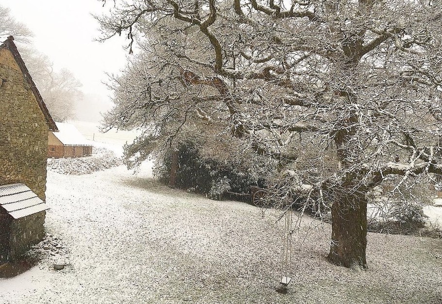 Backgarden in winter