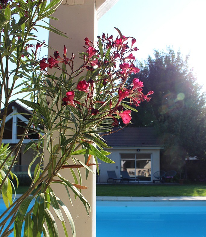 Photo n° 4 of the location