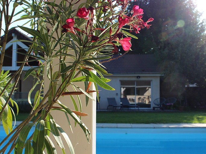 Photo n° 4 de la location