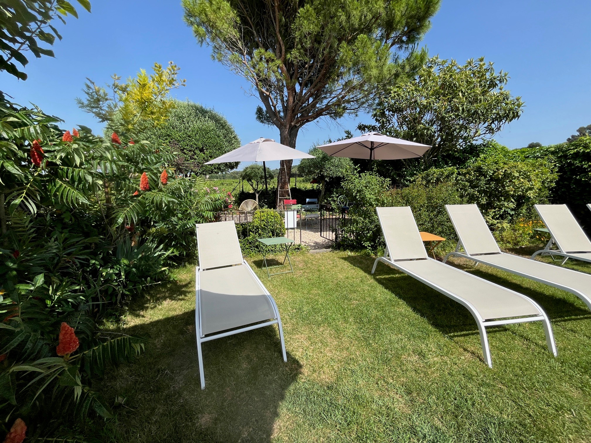Gîte Le Couchant - La Piscine