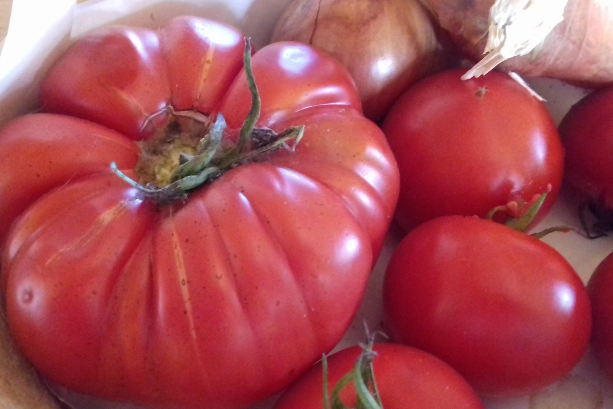 En Août vous pourriez en goûter