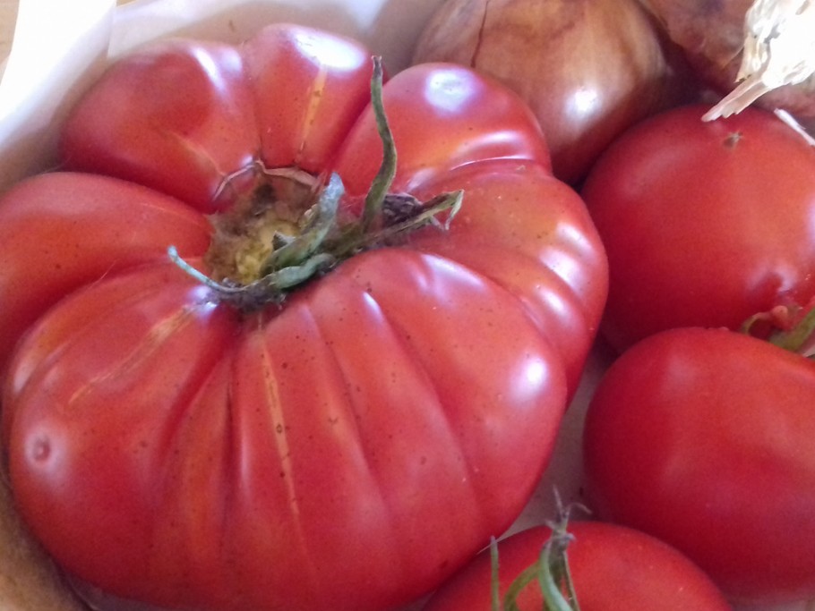 En Août vous pourriez en goûter