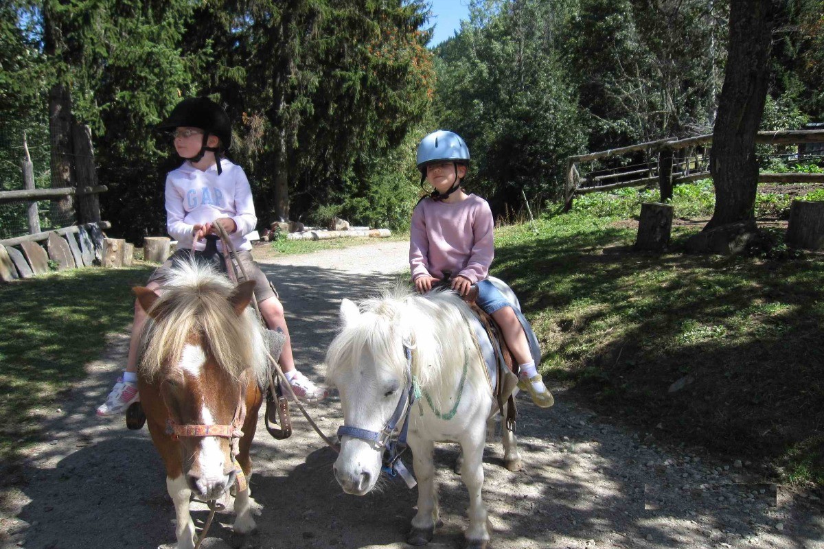 L'été, les petits enfants à dos de poneys