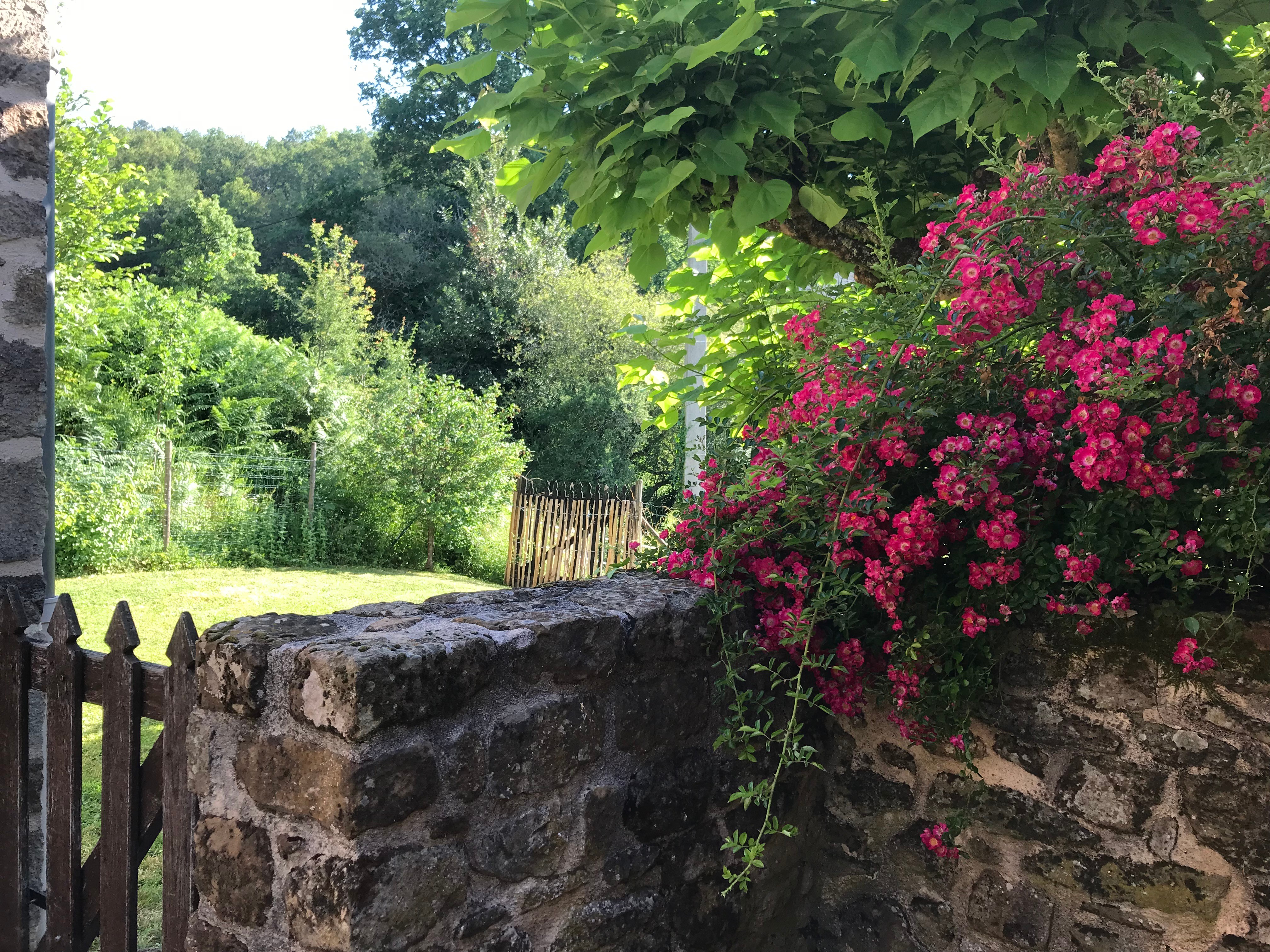 Photo n° 15 of the location