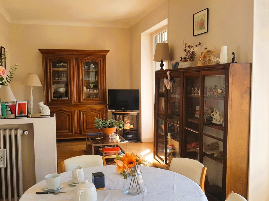 Coin repas et espace salon