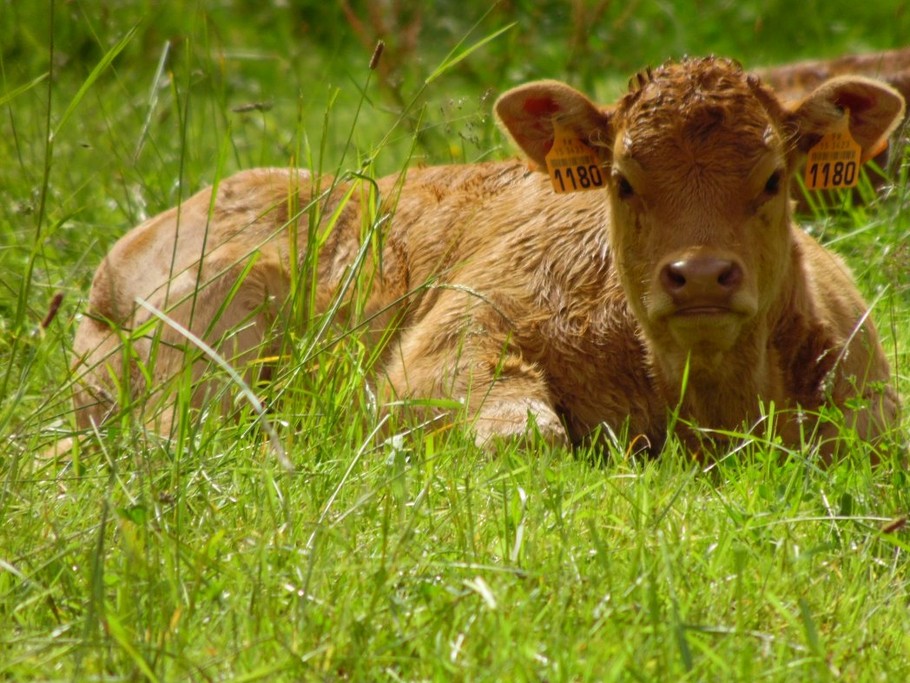 Photo n° 1 of the location