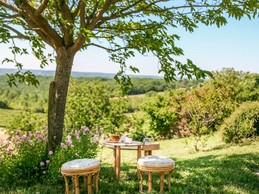 a l ombre du murie platane castelnau de montmiral tarn toscane- occitane pyrenees mediteranees