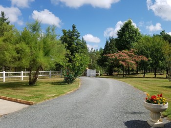 Jardin