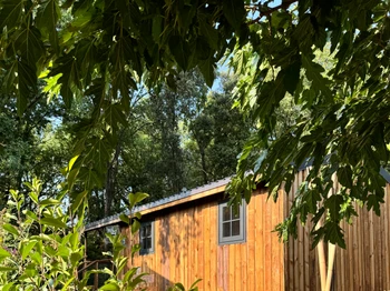 Photo n° 8 de la location