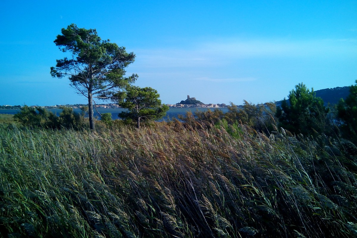Vue de Gruissan