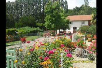 cour devant les gîtes