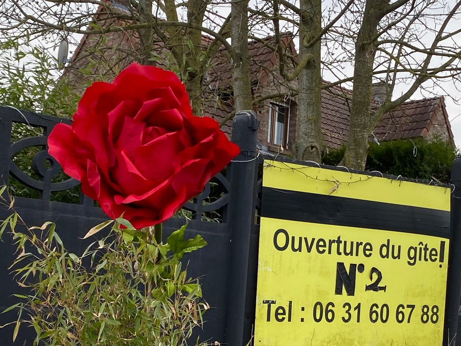 notre fleur dans la rue!!!!
