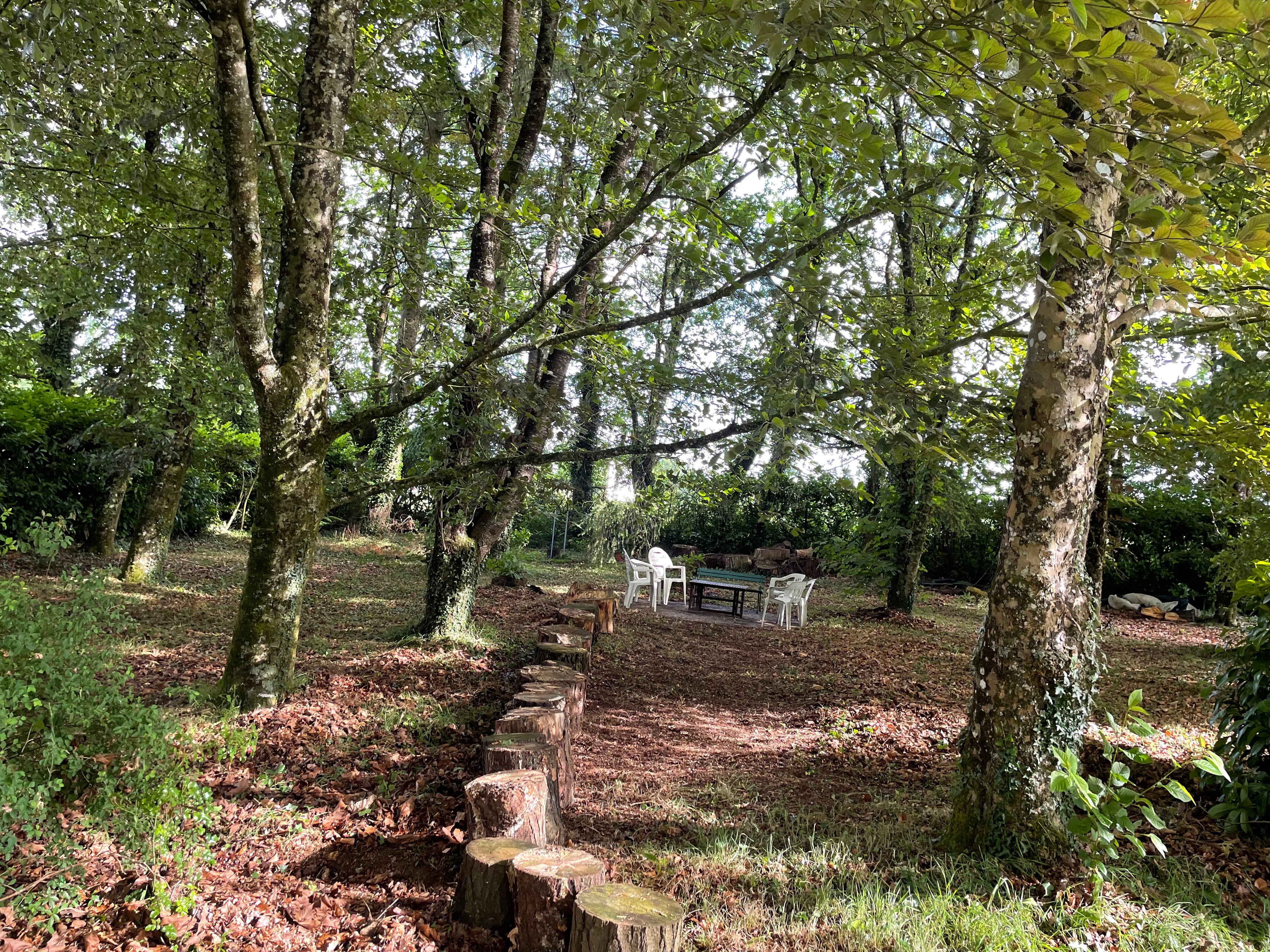 Photo n° 12 of the location