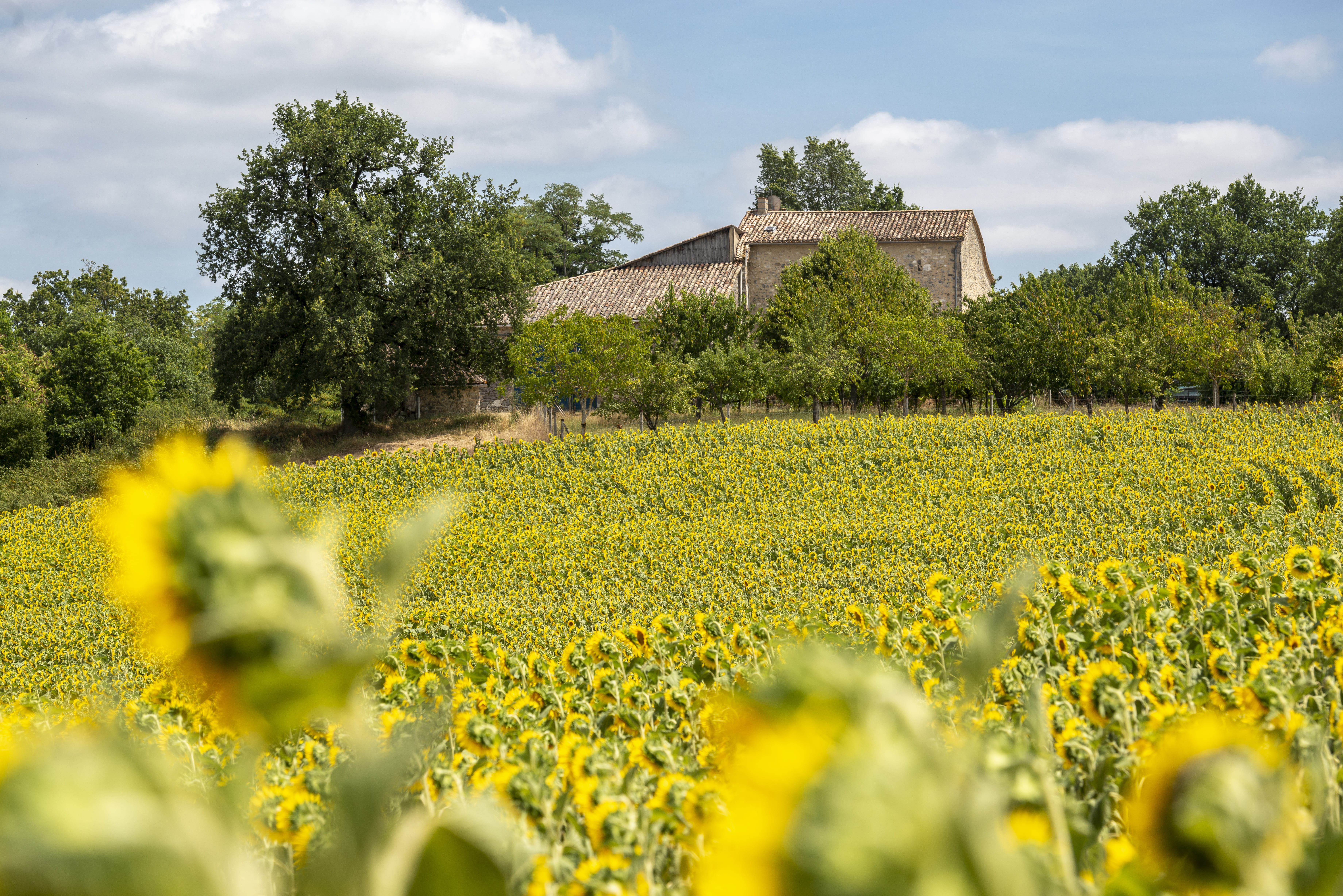 Photo n° 16 of the location