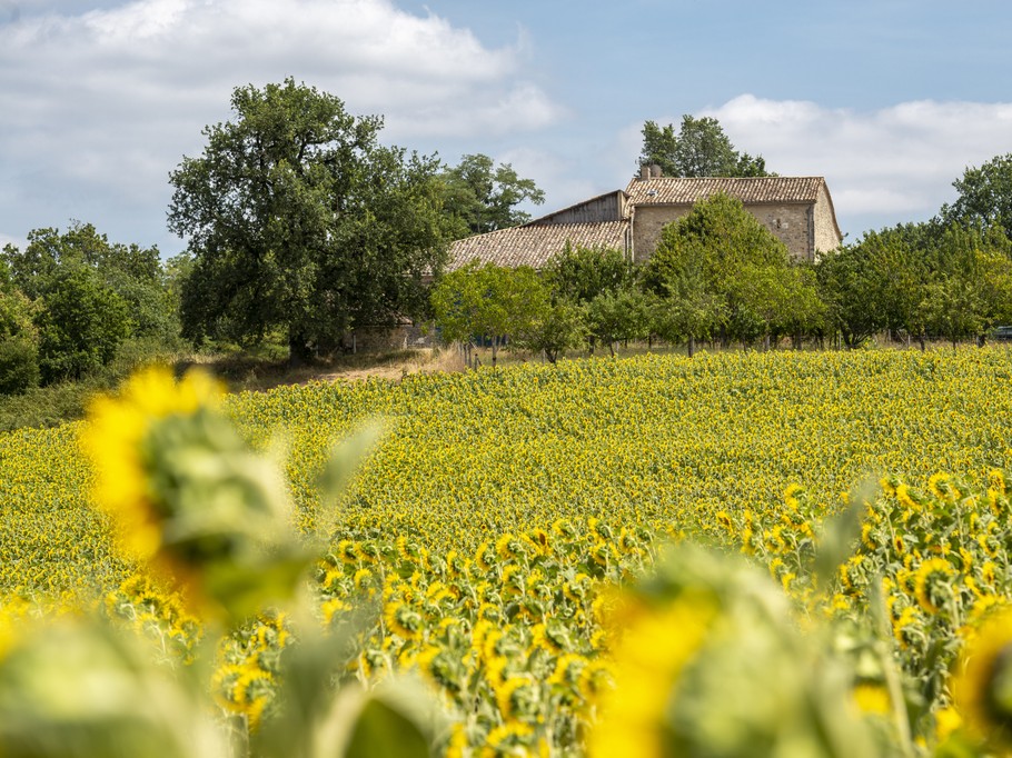Photo n° 16 de la location