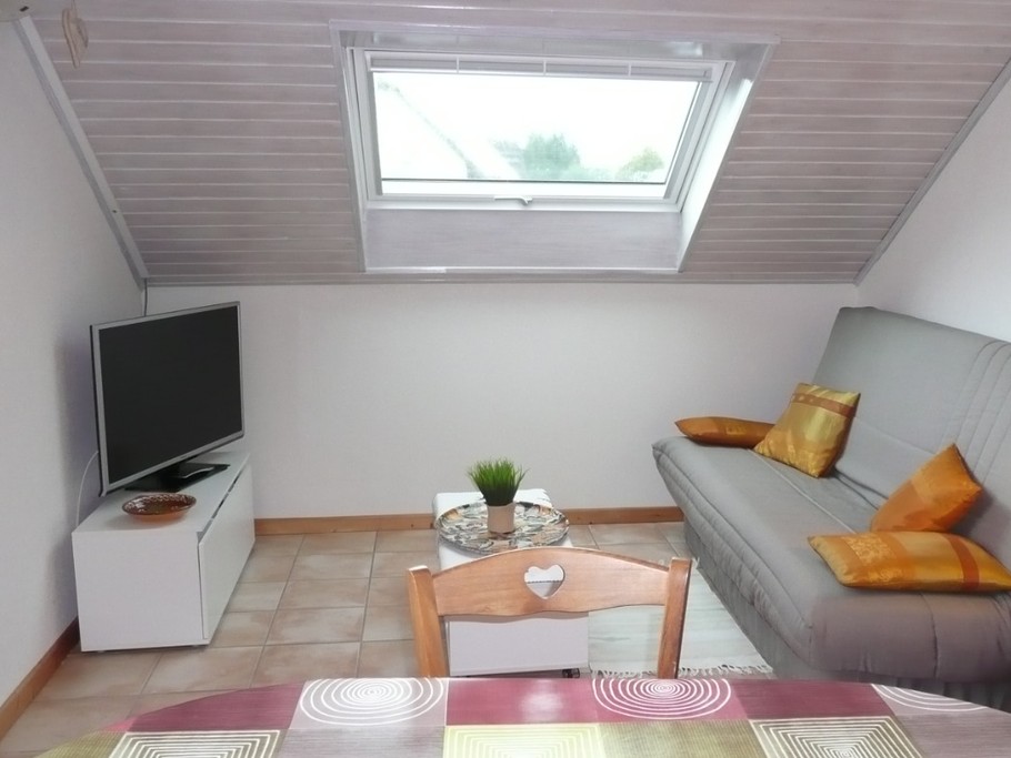 Le salon avec son clic-clac + télévision