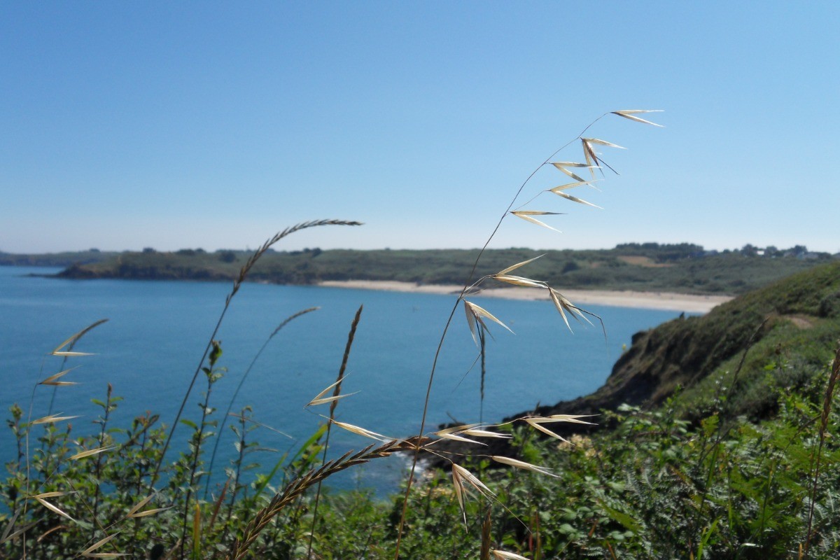 vue du sentier douanier